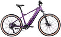 AGON Alpha E-Bike Mountainbike