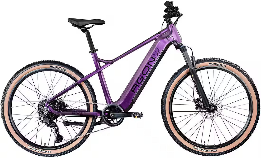 AGON Alpha E-Bike Mountainbike