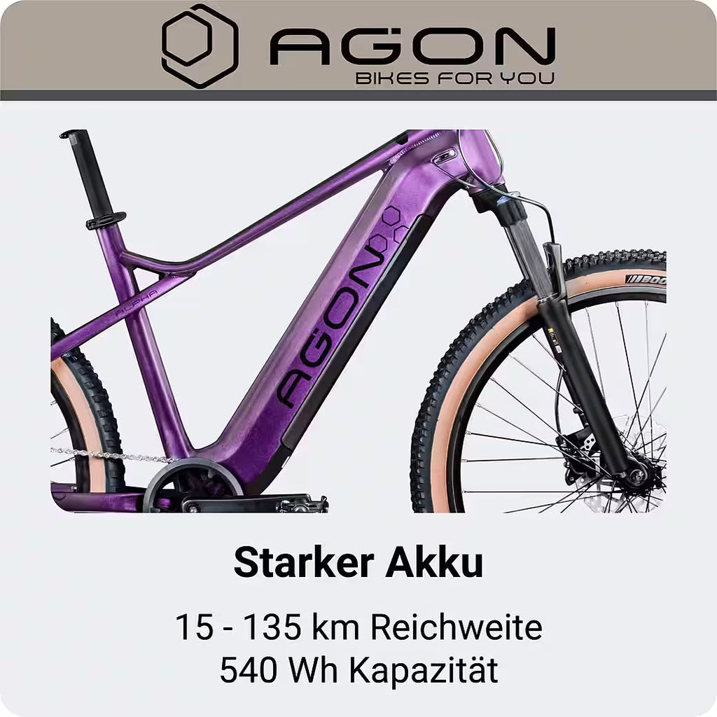 AGON Alpha E-Bike Mountainbike