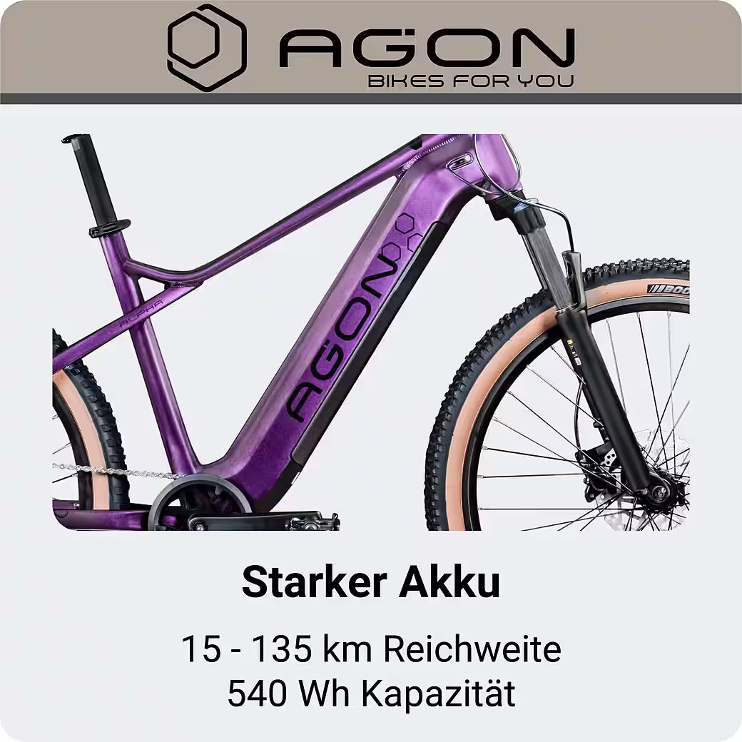 AGON Alpha E-Bike Mountainbike