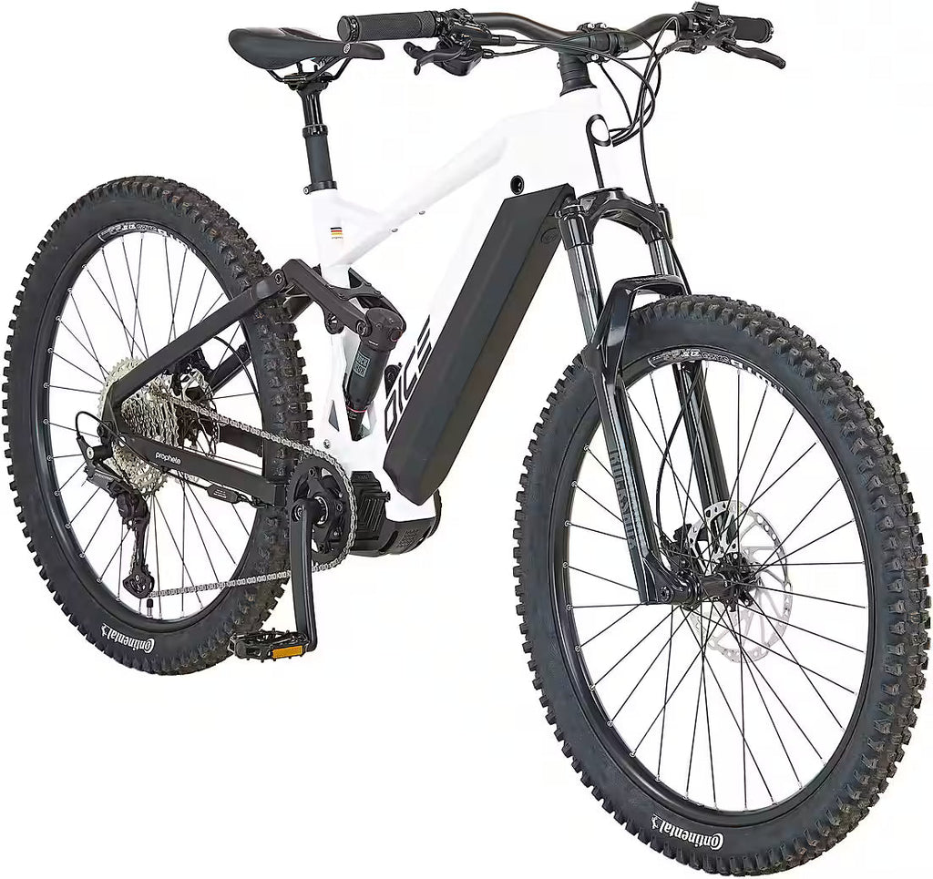 PROPHETE Dice 5.0 E-Bike Mountainbike