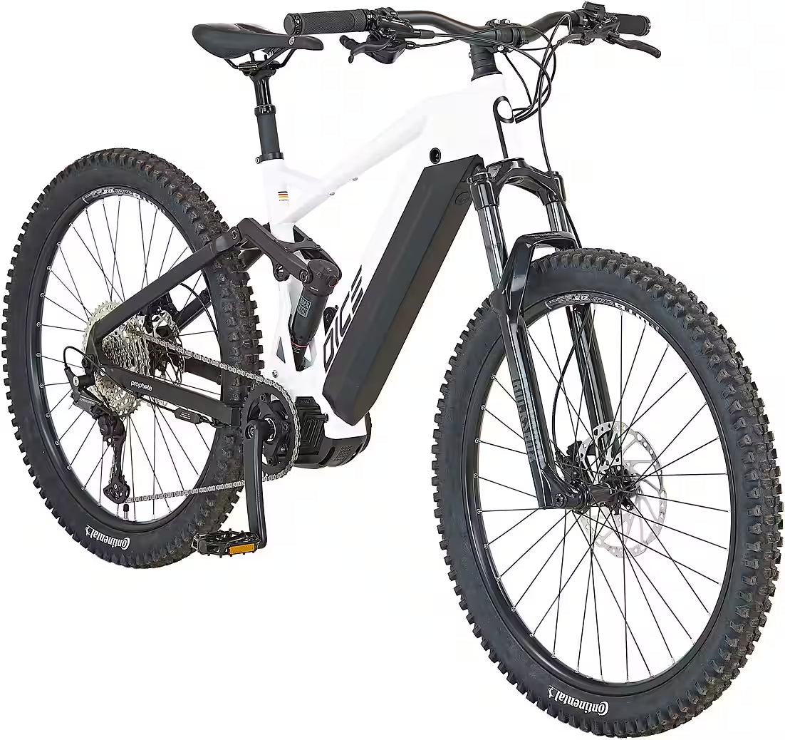 PROPHETE Dice 5.0 E-Bike Mountainbike