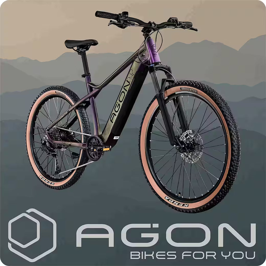 AGON Alpha E-Bike Mountainbike