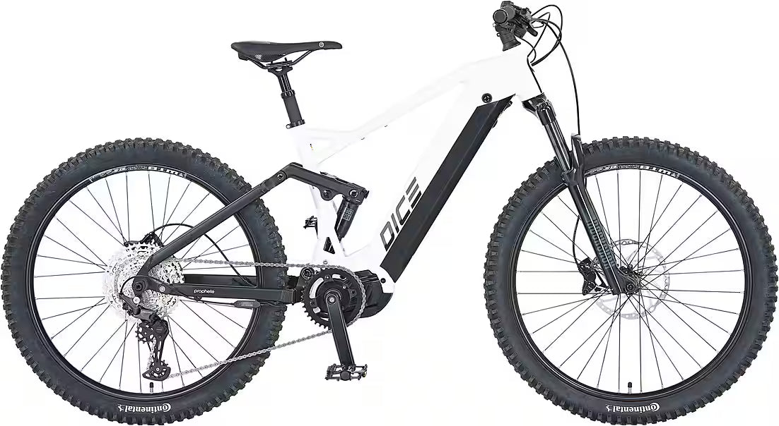 PROPHETE Dice 5.0 E-Bike Mountainbike