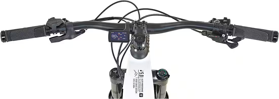 TELEFUNKEN Aufsteiger M936 E-Bike Mountainbike