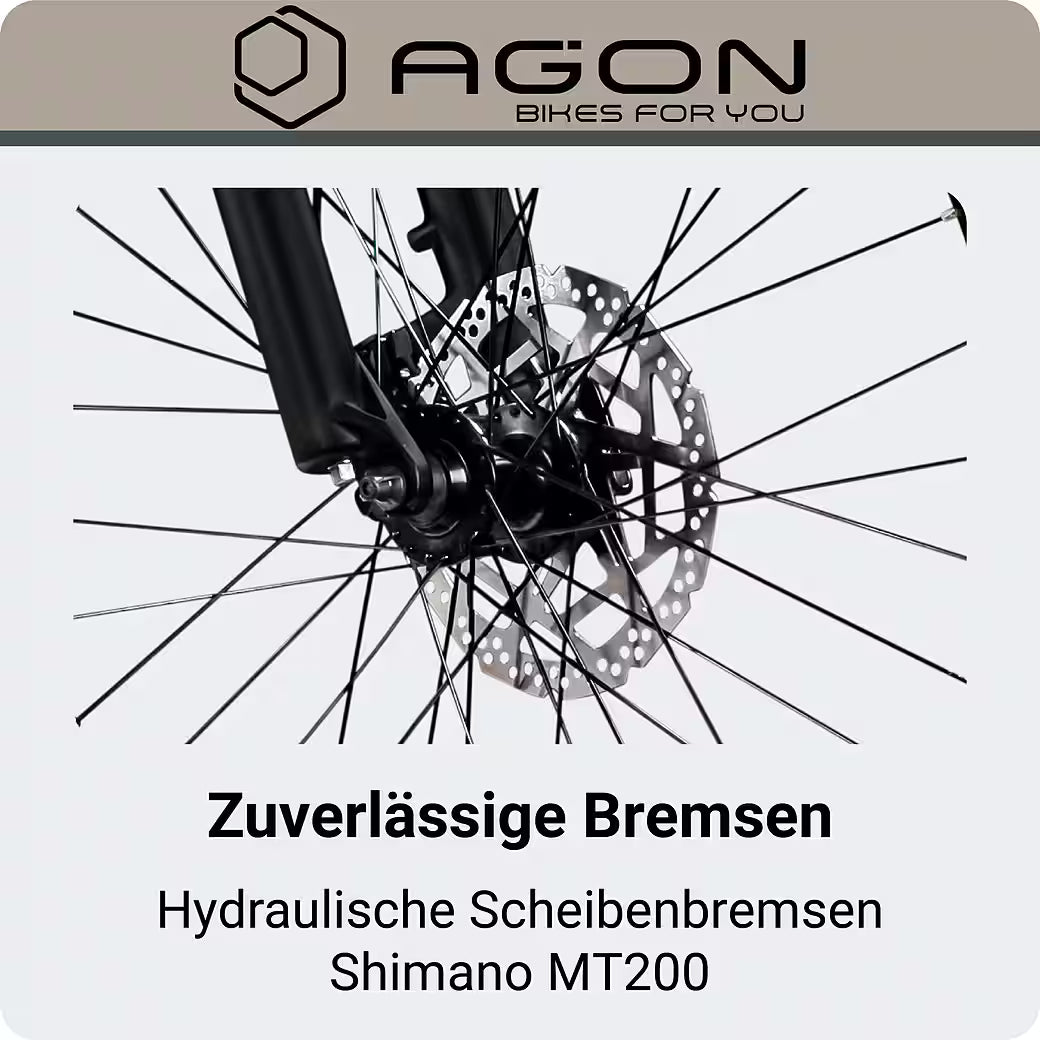 AGON Alpha E-Bike Mountainbike