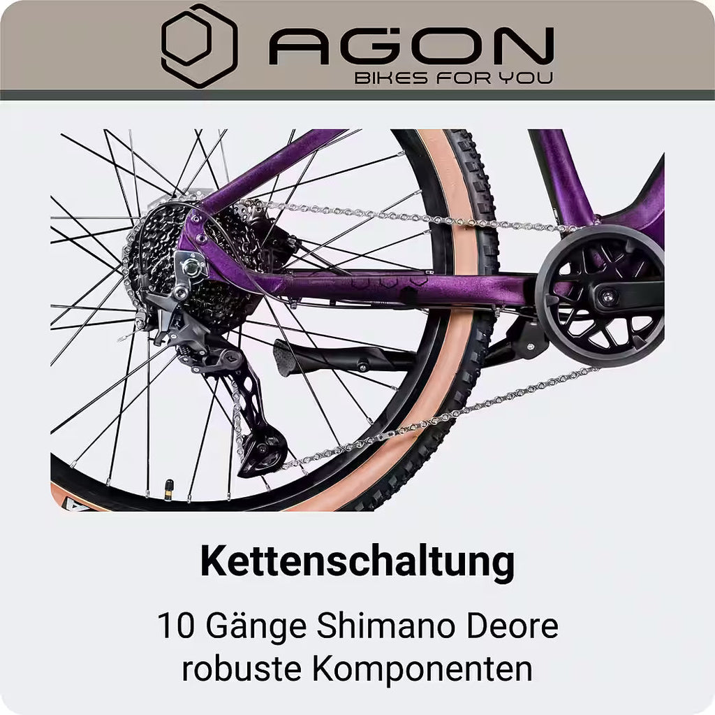 AGON E-Bike Mountainbike Alpha 27,5 Zoll